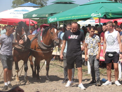 Štraparijada u Derventi 2023