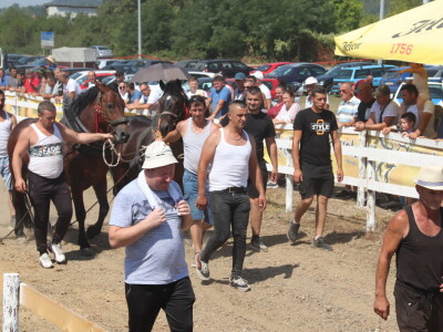 Štraparijada u Derventi 2023