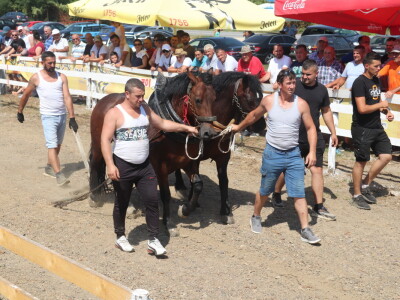 Štraparijada u Derventi 2023