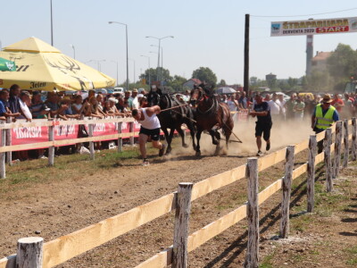 Štraparijada u Derventi 2023