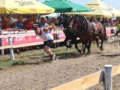Štraparijada u Derventi 2023