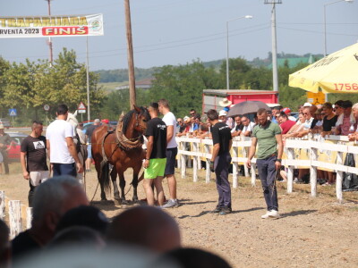 Štraparijada u Derventi 2023