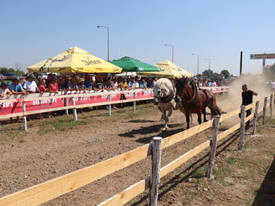 Štraparijada u Derventi 2023