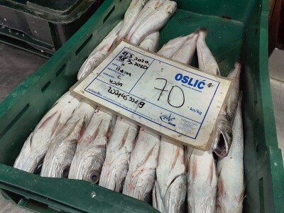 Strategije agrara i akvakulture