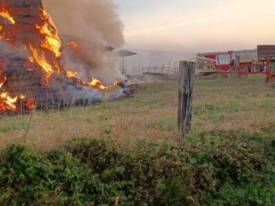 Stravičan požar na imanju Miška Šklempe