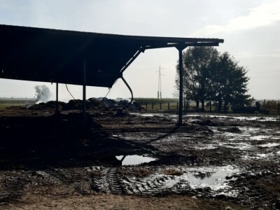 Stravičan požar na imanju Miška Šklempe