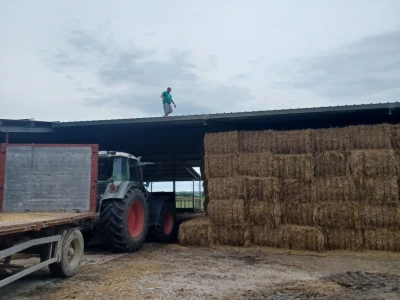 Stravičan požar na imanju Miška Šklempe