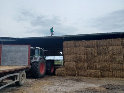 Stravičan požar na imanju Miška Šklempe