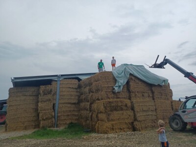 Stravičan požar na imanju Miška Šklempe