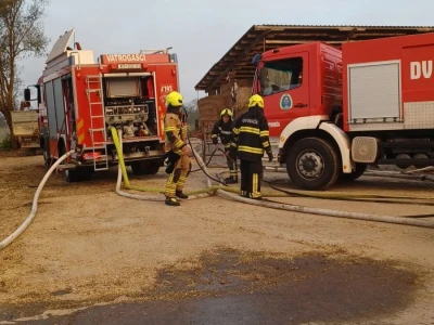 Stravičan požar na imanju Miška Šklempe