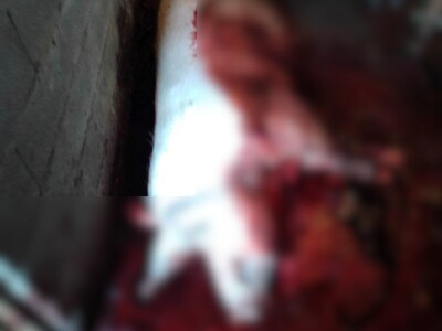 Stravične fotografije: Umjesto eutanazije, klali svinje Stravične fotografije: Umjesto eutanazije, klali svinje