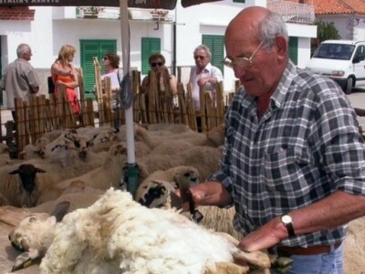 Striženje ovaca Striženje ovaca