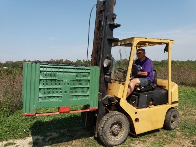 Strojna berba aronije