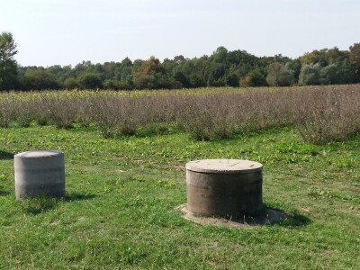 Strojna berba aronije