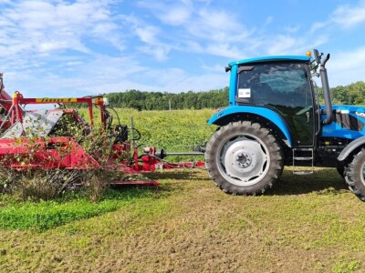 Strojna berba aronije