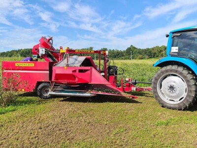 Strojna berba aronije