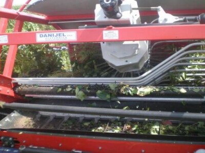 Strojna berba aronije na OPG Josipović