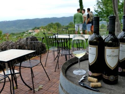 Strojno branje grožđa