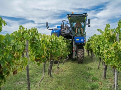Strojno branje grožđa