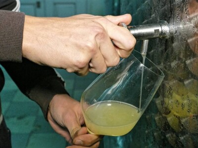 Strojno branje grožđa