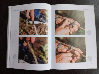 Stručni priručnik "Kalemljenje voća - 100 zašto i 100 zato"