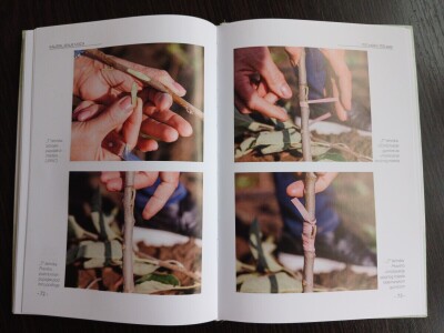 Stručni priručnik "Kalemljenje voća - 100 zašto i 100 zato"