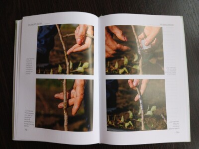 Stručni priručnik "Kalemljenje voća - 100 zašto i 100 zato"