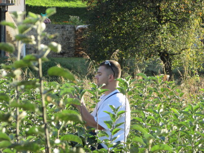 Stručni priručnik "Kalemljenje voća - 100 zašto i 100 zato"