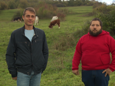 Stručnjaci OECD-a komentiraju situaciju s mladima u talijanskoj regiji Kampaniji Stručnjaci OECD-a komentiraju situaciju s mladima u talijanskoj regiji Kampaniji