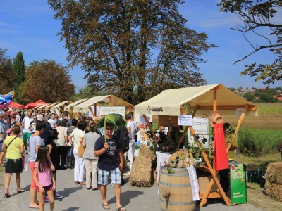Štrudlafest