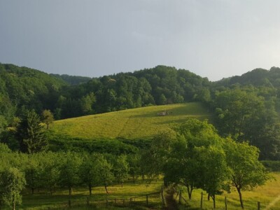 Student Danijel Prpoš pravi planove za oživljavanje seoskog turizma: Imanje će pretvoriti u turistički raj Student Danijel Prpoš pravi planove za oživljavanje seoskog turizma: Imanje će pretvoriti u turistički raj