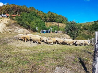 Student građevine, ne odustaje od života na selu Student građevine, ne odustaje od života na selu