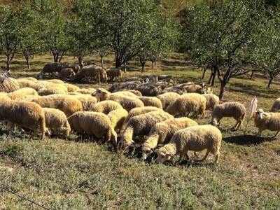 Student građevine, ne odustaje od života na selu Student građevine, ne odustaje od života na selu