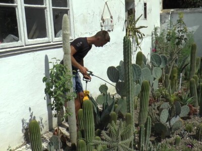 Student hortikulture u bašti uzgaja više od 200 kaktusa