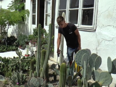 Student hortikulture u bašti uzgaja više od 200 kaktusa