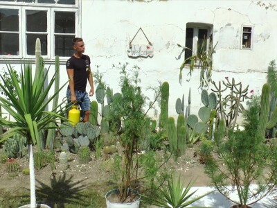 Student hortikulture u bašti uzgaja više od 200 kaktusa