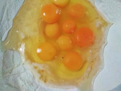 Student ušeđevinom pokrenuo OPG na kojem sada radi cijela obitelj