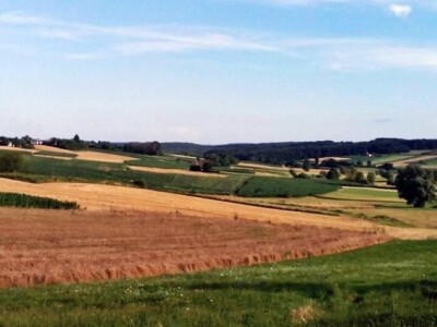 Student ušeđevinom pokrenuo OPG na kojem sada radi cijela obitelj
