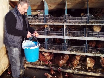 Student ušeđevinom pokrenuo OPG na kojem sada radi cijela obitelj