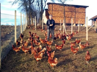 Student ušeđevinom pokrenuo OPG na kojem sada radi cijela obitelj