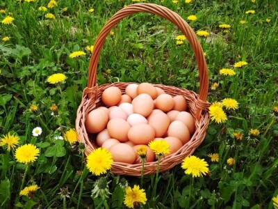 Student ušeđevinom pokrenuo OPG na kojem sada radi cijela obitelj