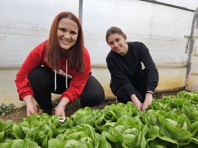 Studenti istražuju korištenje ovčje vune kao inertnog supstrat za hidroponski uzgoj Studenti istražuju korištenje ovčje vune kao inertnog supstrat za hidroponski uzgoj