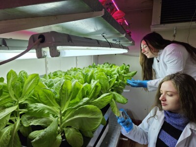 Studenti istražuju korištenje ovčje vune kao inertnog supstrat za hidroponski uzgoj Studenti istražuju korištenje ovčje vune kao inertnog supstrat za hidroponski uzgoj