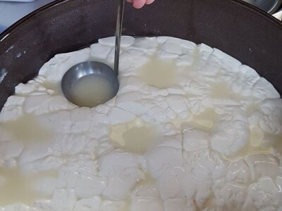 Studentkinja iz Banjaluke pokrenula farmu koza na kojoj proizvodi razne vrste sireva