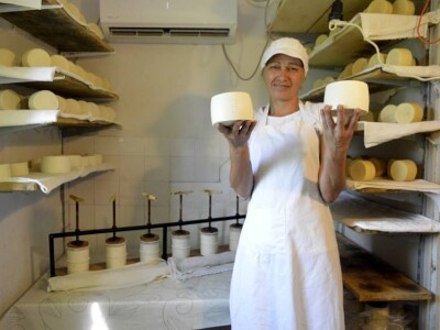 Studentkinja iz Banjaluke pokrenula farmu koza na kojoj proizvodi razne vrste sireva