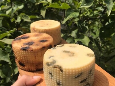 Studentkinja iz Banjaluke pokrenula farmu koza na kojoj proizvodi razne vrste sireva