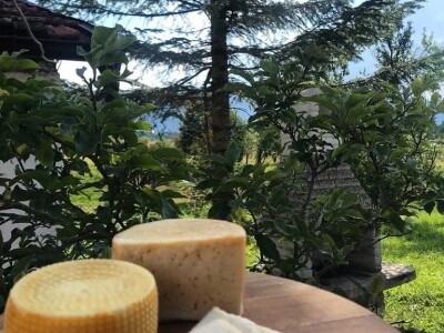 Studentkinja iz Banjaluke pokrenula farmu koza na kojoj proizvodi razne vrste sireva