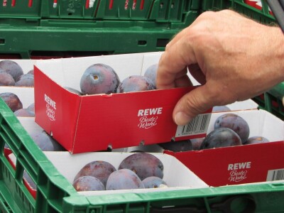 Studijsko putovanje u Njemačku