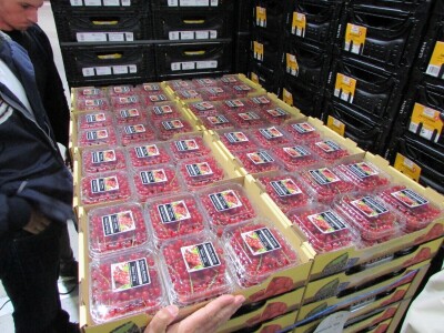 Studijsko putovanje u Njemačku