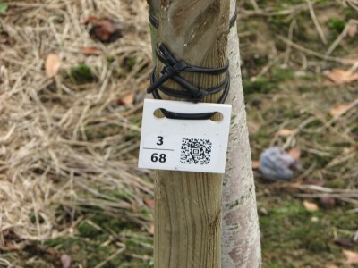 Studijsko putovanje u Njemačku